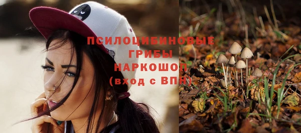 герыч Алзамай
