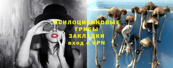 гидропоника Алексин